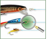 Stonfo Lure Snap - casapintat - STONFO